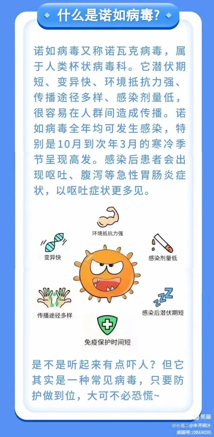 【金童幼儿园】警惕！诺如病毒感染进入高发季！当心病从口入！